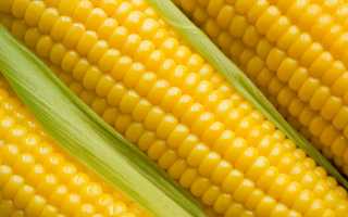 Можно ли кушать кукурузу при панкреатите?