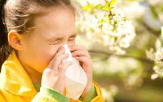 Респираторный аллергоз как наиболее распространённый вид аллергии