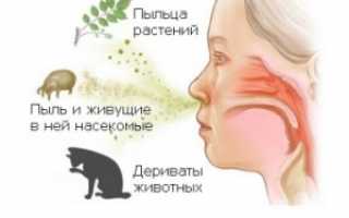 Аллергический кашель у детей: определяем, лечим, предотвращаем